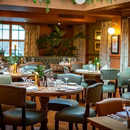Du Vin & Bistro